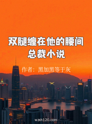 双腿缠在他的腰间总裁小说