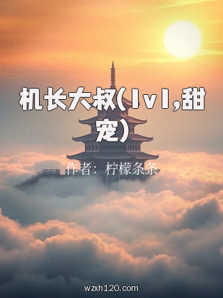 机长大叔(1v1,甜宠)