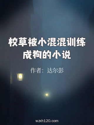 校草被小混混训练成狗的小说