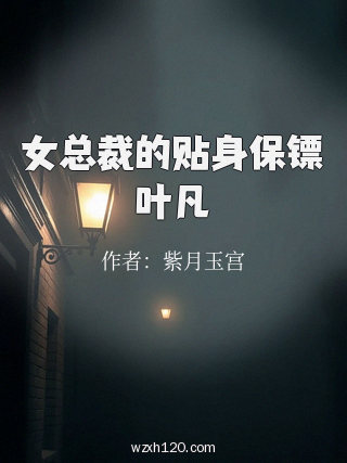 女总裁的贴身保镖叶凡