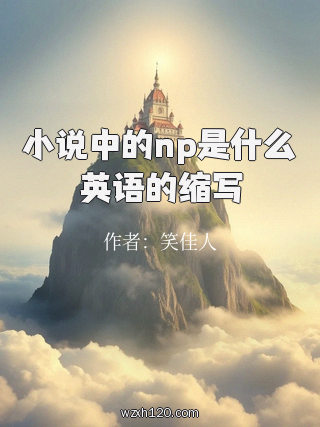小说中的np是什么英语的缩写
