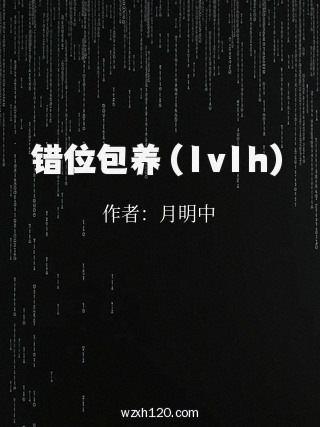 错位包养(1v1h)