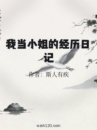 我当小姐的经历日记