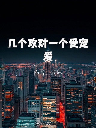 几个攻对一个受宠爱