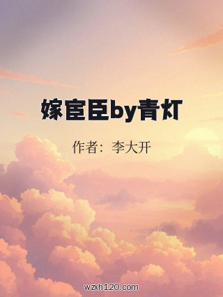 嫁宦臣by青灯