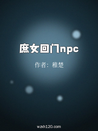 庶女回门npc