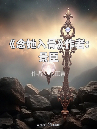 《念她入骨》作者:景臣