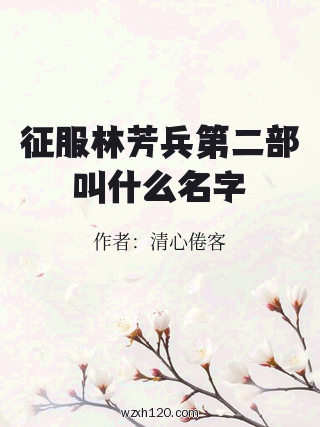 征服林芳兵第二部叫什么名字