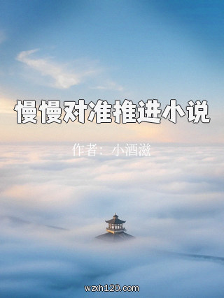 慢慢对准推进小说