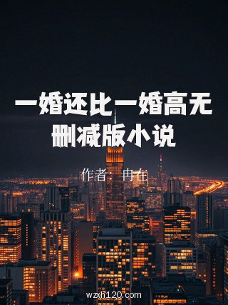 一婚还比一婚高无删减版小说