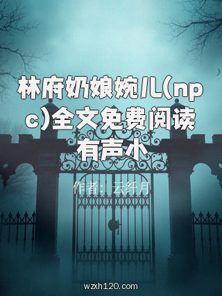 林府奶娘婉儿(npc)全文免费阅读有声小