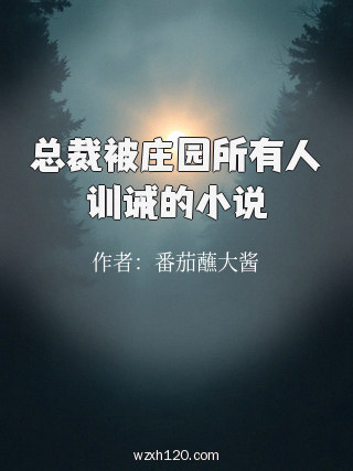 总裁被庄园所有人训诫的小说
