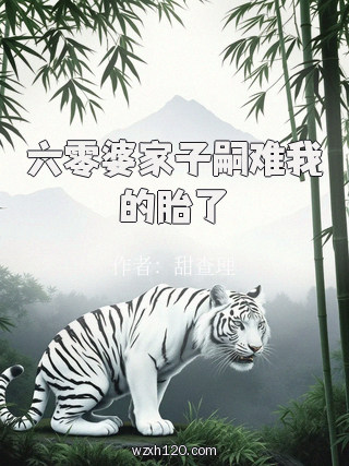 六零婆家子嗣难我的胎了