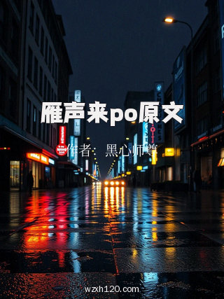 雁声来po原文