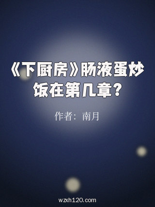 《下厨房》肠液蛋炒饭在第几章?