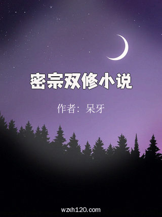 密宗双修小说