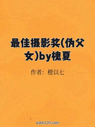 最佳摄影奖(伪父女)by槐夏