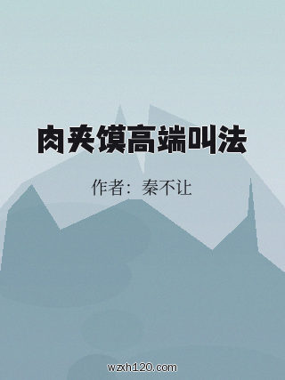肉夹馍高端叫法