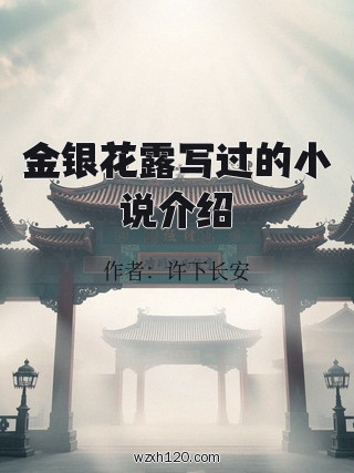 金银花露写过的小说介绍