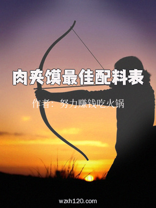 肉夹馍最佳配料表