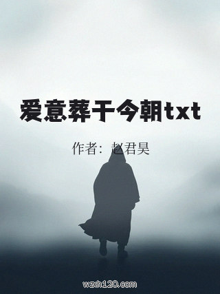 爱意葬于今朝txt