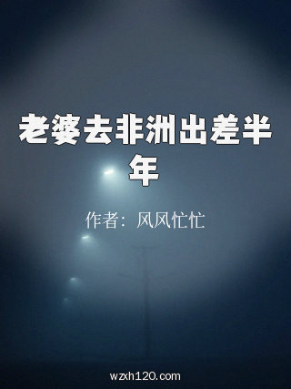 老婆去非洲出差半年