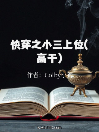 快穿之小三上位(高干)