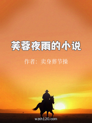 芙蓉夜雨的小说