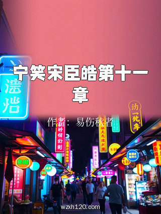 宁笑宋臣皓第十一章