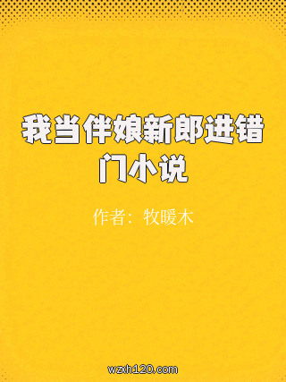 我当伴娘新郎进错门小说