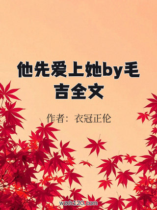他先爱上她by毛吉全文