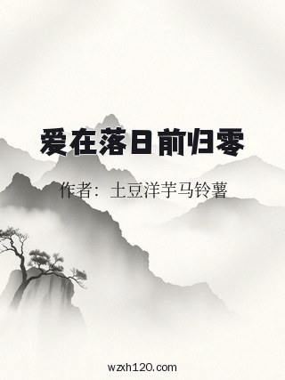 爱在落日前归零