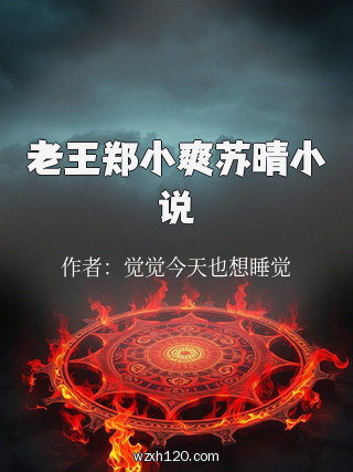 老王郑小爽苏晴小说