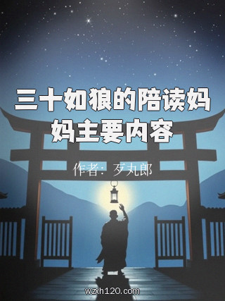 三十如狼的陪读妈妈主要内容