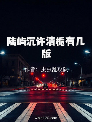 陆屿沉许清栀有几版