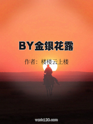 BY金银花露