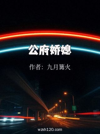 公府娇媳