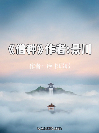 《借种》作者:景川