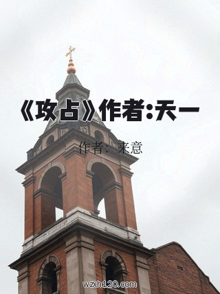 《攻占》作者:天一