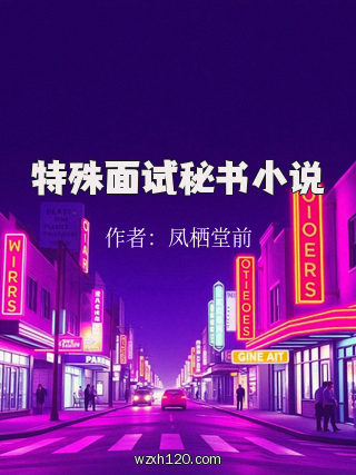 特殊面试秘书小说