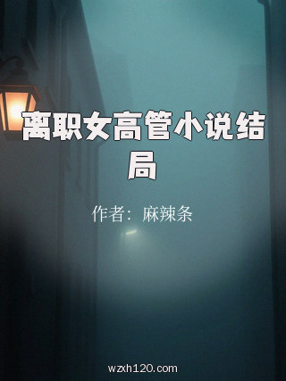离职女高管小说结局