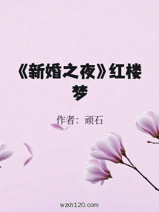 《新婚之夜》红楼梦