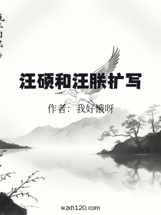 汪硕和汪朕扩写