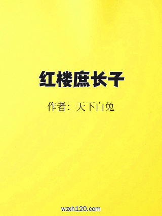 红楼庶长子