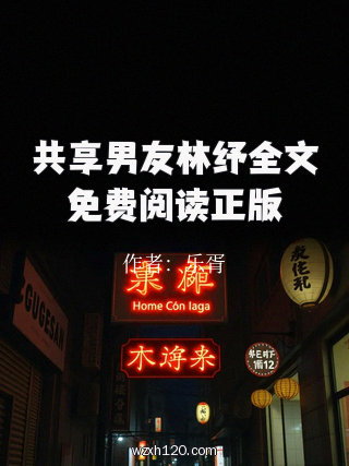 共享男友林纾全文免费阅读正版