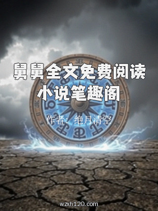 舅舅全文免费阅读小说笔趣阁