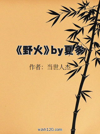 《野火》by夏多