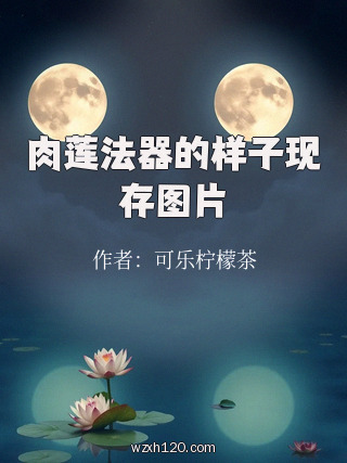肉莲法器的样子现存图片