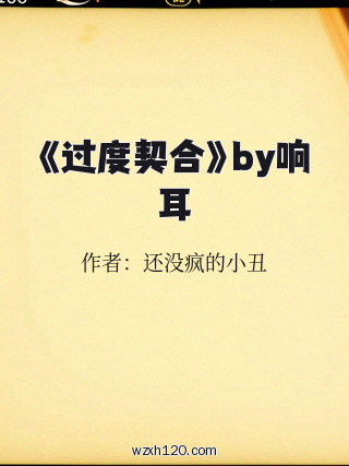 《过度契合》by响耳