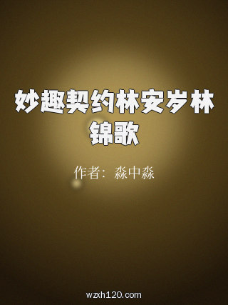 妙趣契约林安岁林锦歌